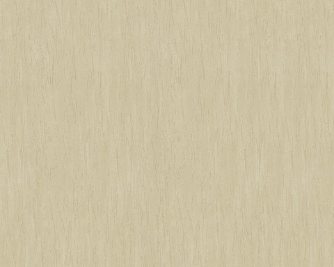 4-050_worldmap_neu_ma